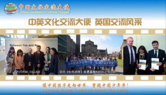 融匯中西，傳遞友誼——第五屆中國文化交流大使選拔活動組織策劃文化藝術交流活動紀實